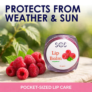 Lip balm that protects lips from weather and sun